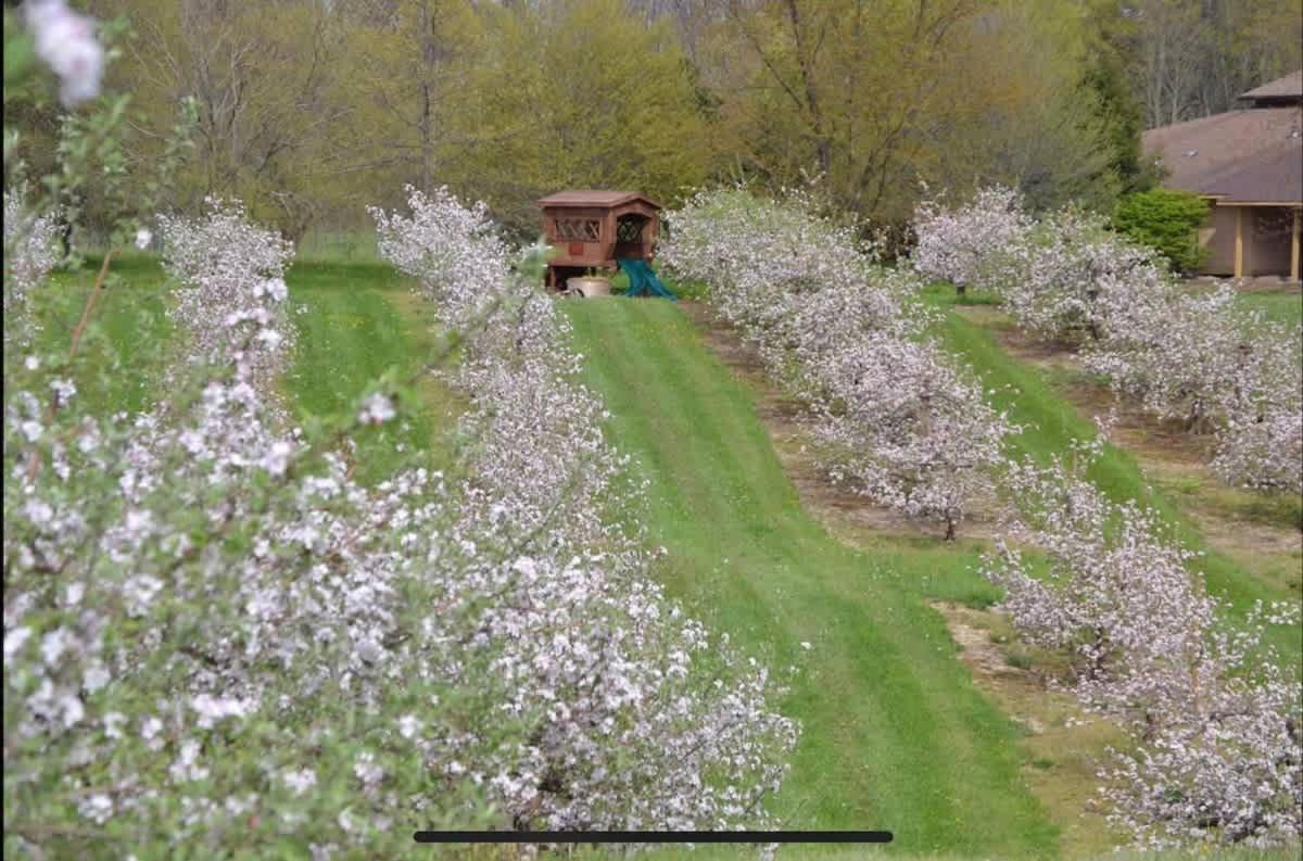 The Cortland Cottage At Brant'S Apple Orchard 애슈터뷸라 외부 사진